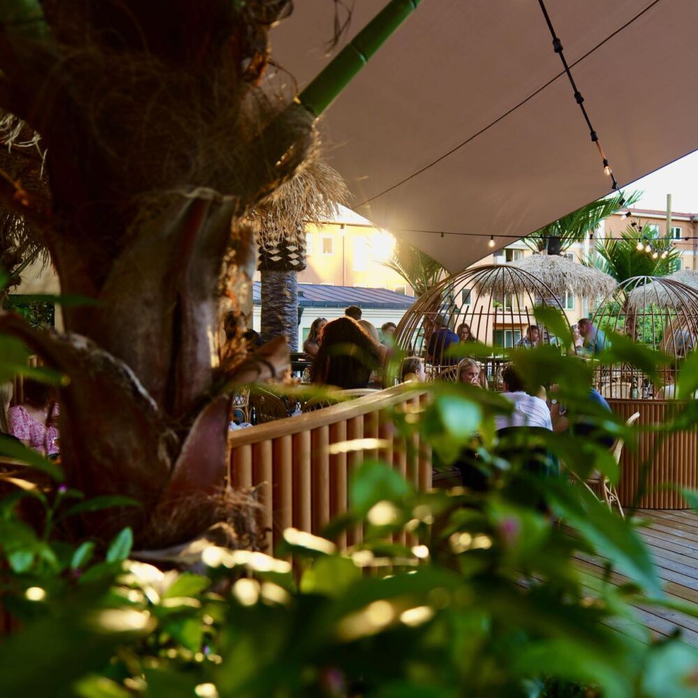 451637647_2272484499757330_5221883950510039915_n